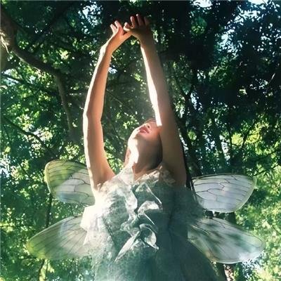 美女别倒贴,我不做裙下之臣